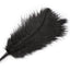Ostrich Feder Streichler