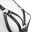 BH Harness