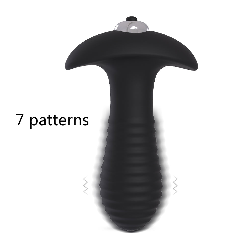 FAST PLACE - Anal Vibrator