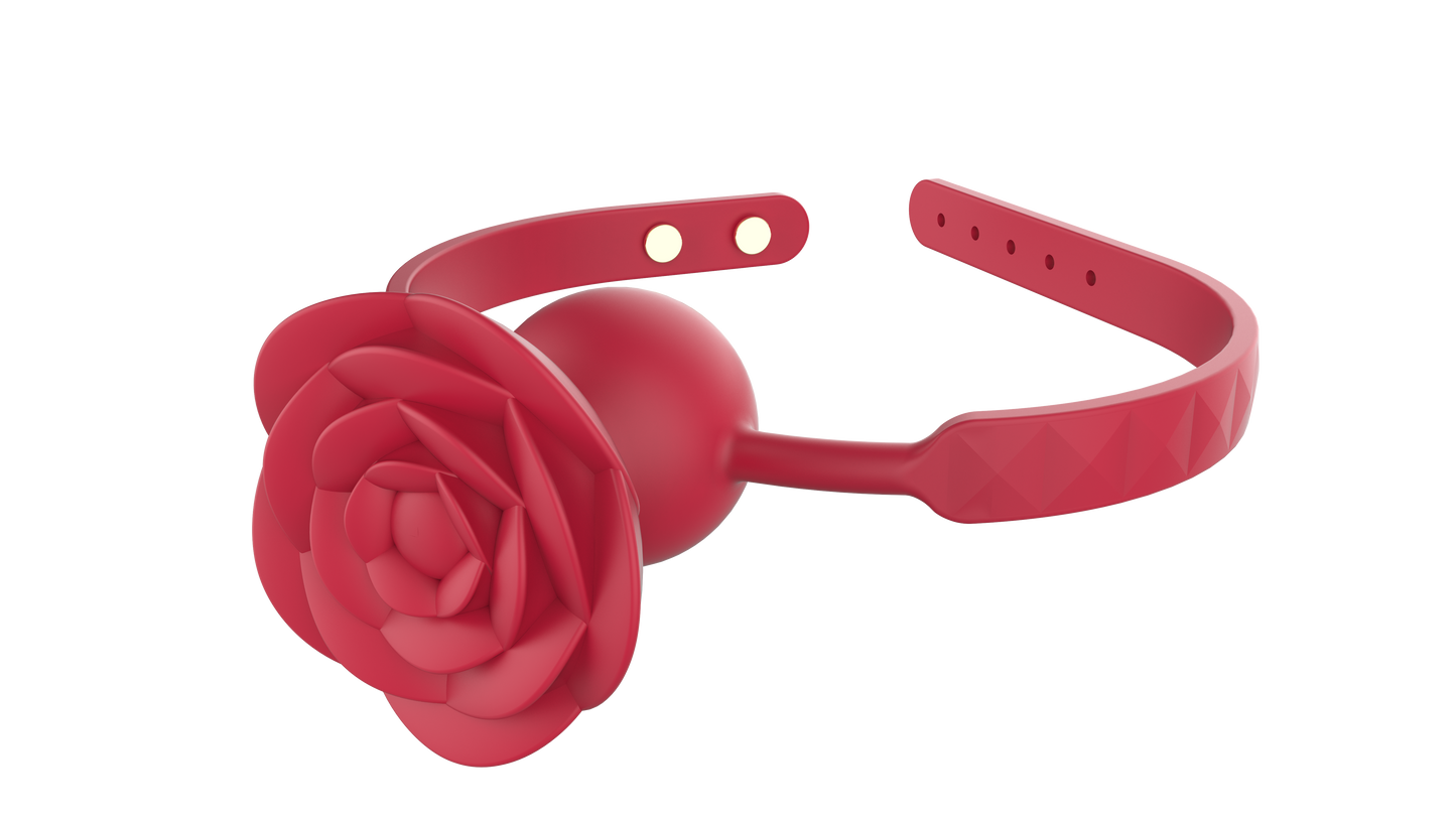 RO TEACH - Vibrierender Mundknebel