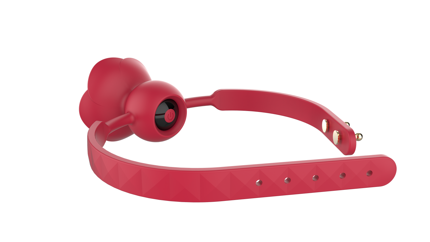 RO TEACH - Vibrierender Mundknebel