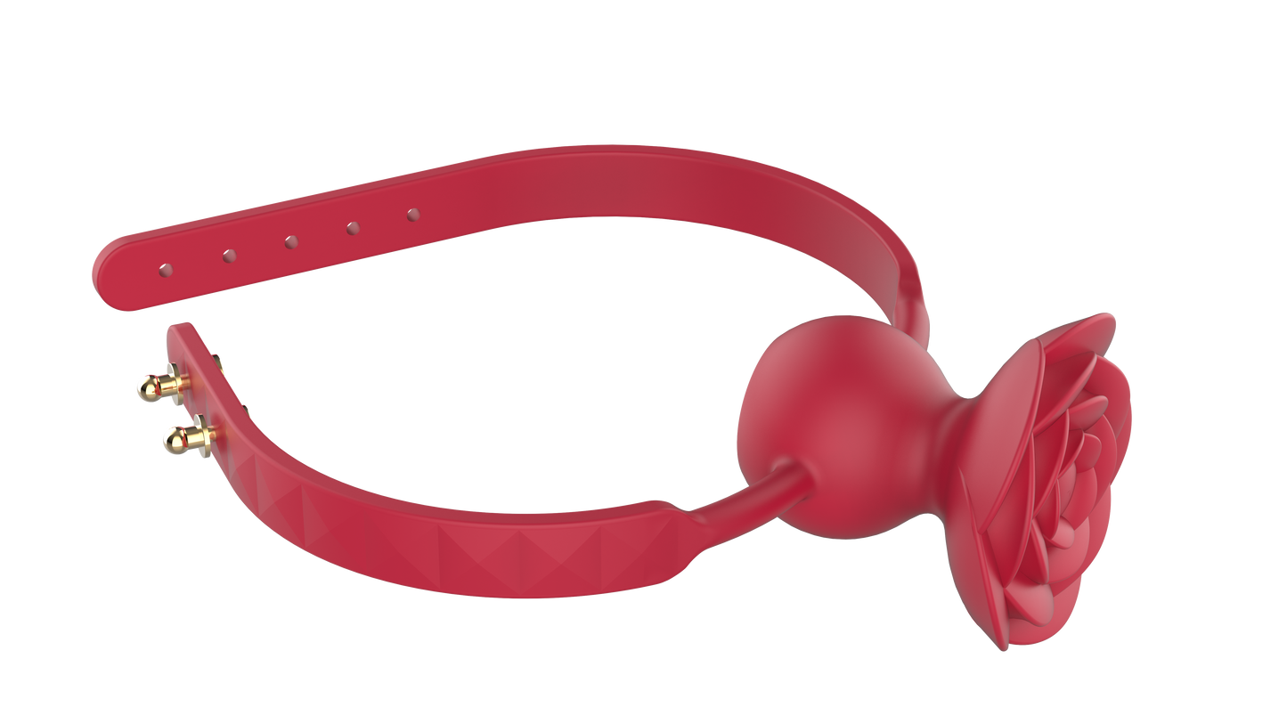 RO TEACH - Vibrierender Mundknebel