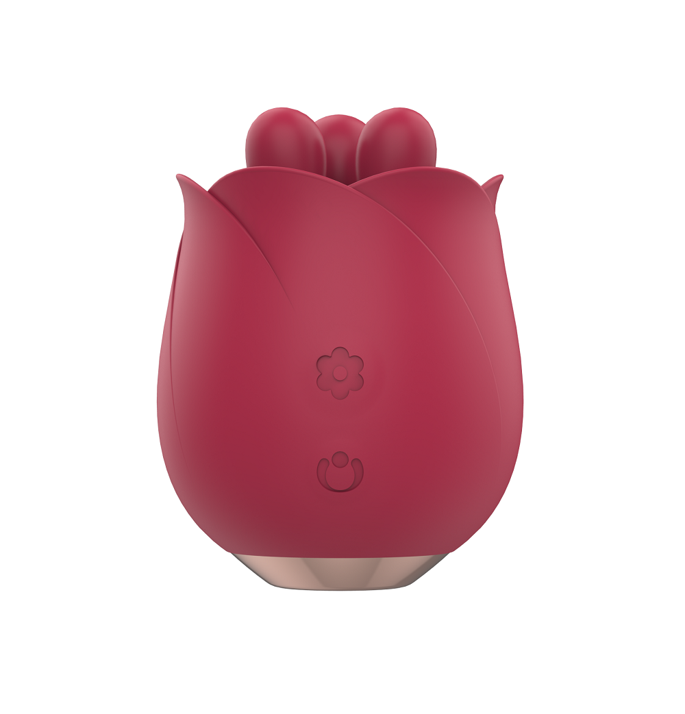 interessanter vibrator